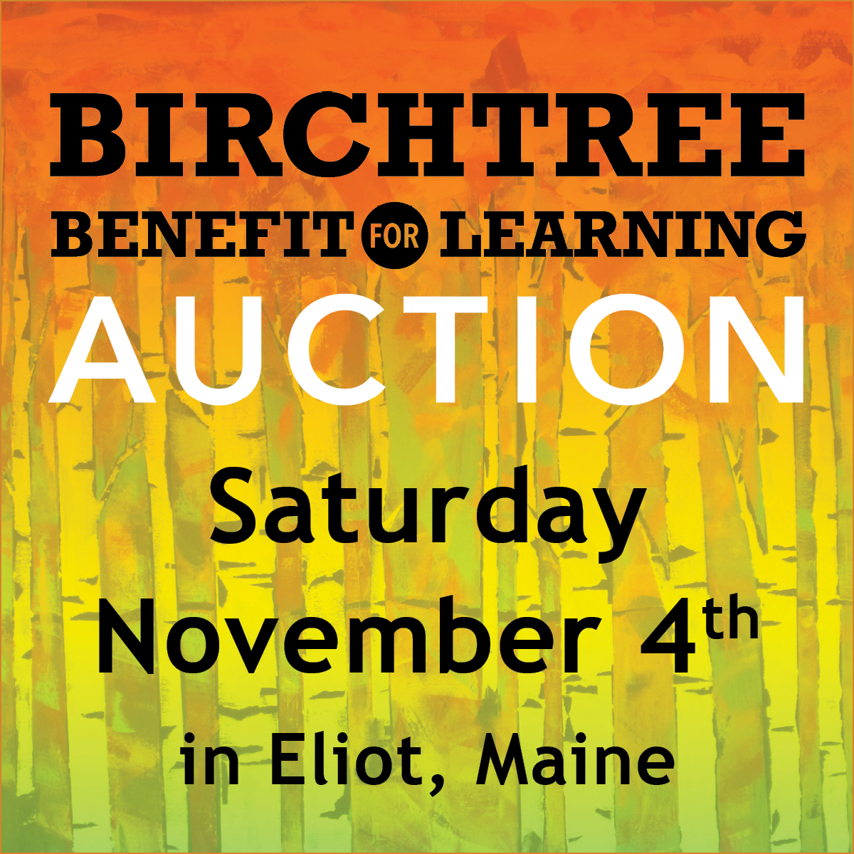 November 4, 2023 Benefit for Learning Auction