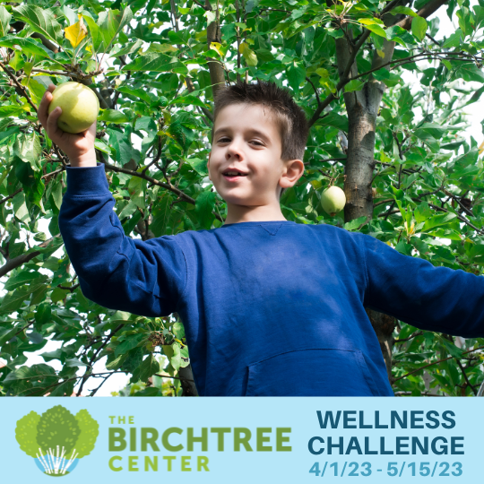 Spring 2023: Wellness Challenge